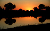Couché de soleil dans le Delta d'Okavango