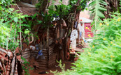 Ruelle de Ouidah au Bénin