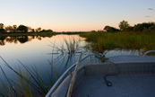 Superbe vue en bateau sur le Delta