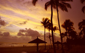 Plage de la Cte d'Ivoire