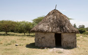 Paysage éthiopien présentant une hute