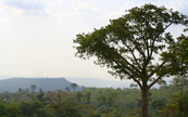 Montagnes de la fort tropicale