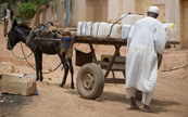 Capture de la vie rurale au Soudan