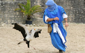 Jouer avec un oiseau