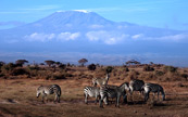 Chaleur et neige en Afrique.... surprenant !